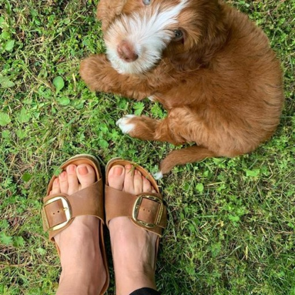 Birkenstock Madrid Big Buckle
